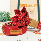 Designed Red Polka Dot Dog Vest Set