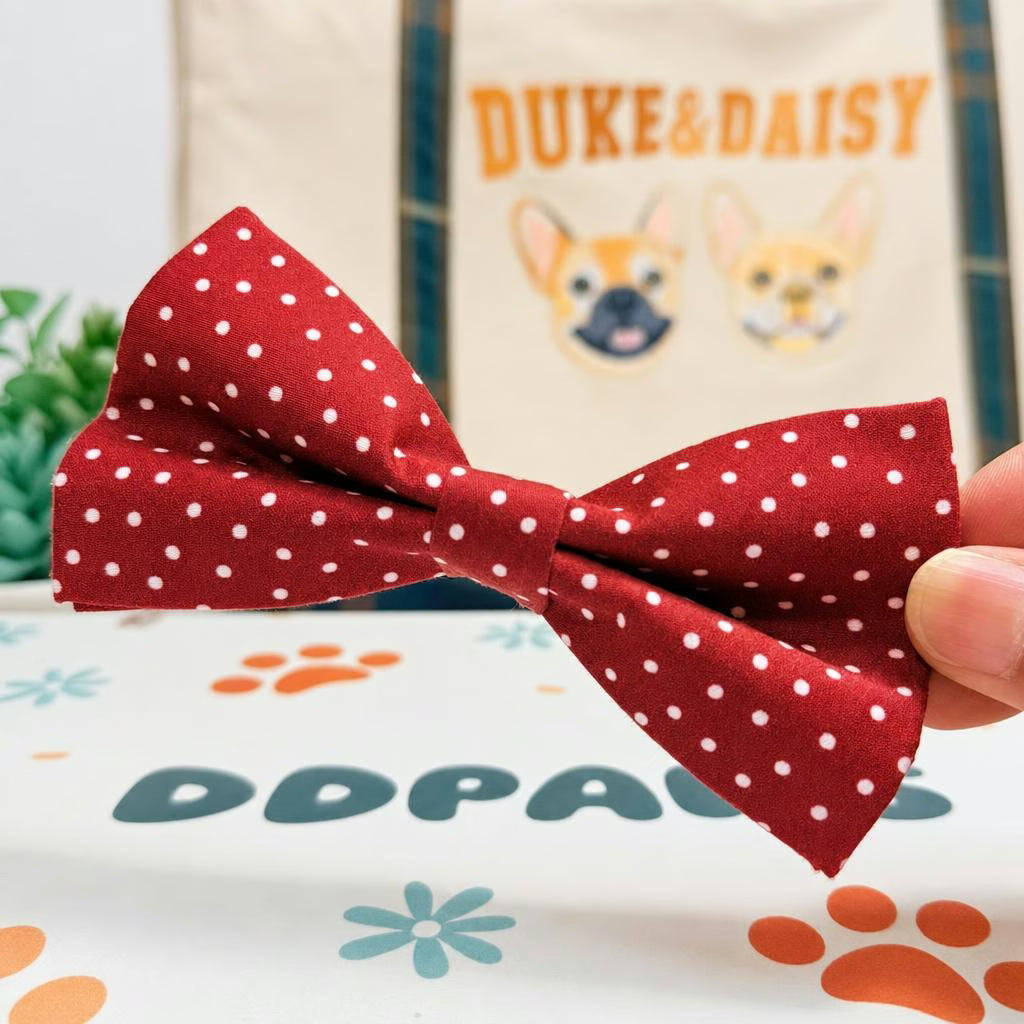 Designed Red Polka Dot Dog Vest Set