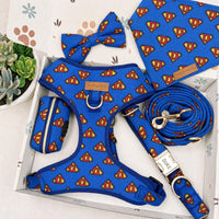 Designed Supperman Dog Vest Set