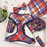 Designed Autumn Sunset Plaid Dog Vest Set