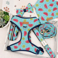 Designed Watermelon Kiwi Dog Vest Set