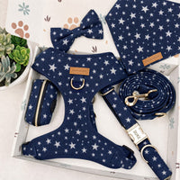 Designed Starlight Navy Dog Vest Set