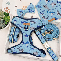 Designed Shark Party Dog Vest Set