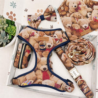 Designed Teddy Love Dog Vest Set
