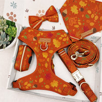 Designed Falling Leaves Dog Vest Set