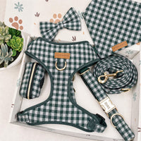 Designed Sage Gingham Dog Vest Set