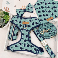 Designed Whale Splash Dog Vest Set