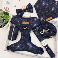 Designed Galaxy Dreams Dog Vest Set