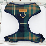Harness