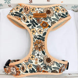 Harness