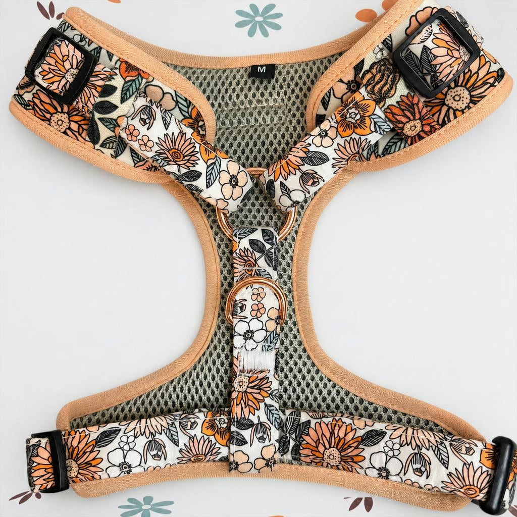 Designed Floral Dog Vest Set