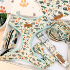 Designed Dinosaur Dog Vest Set