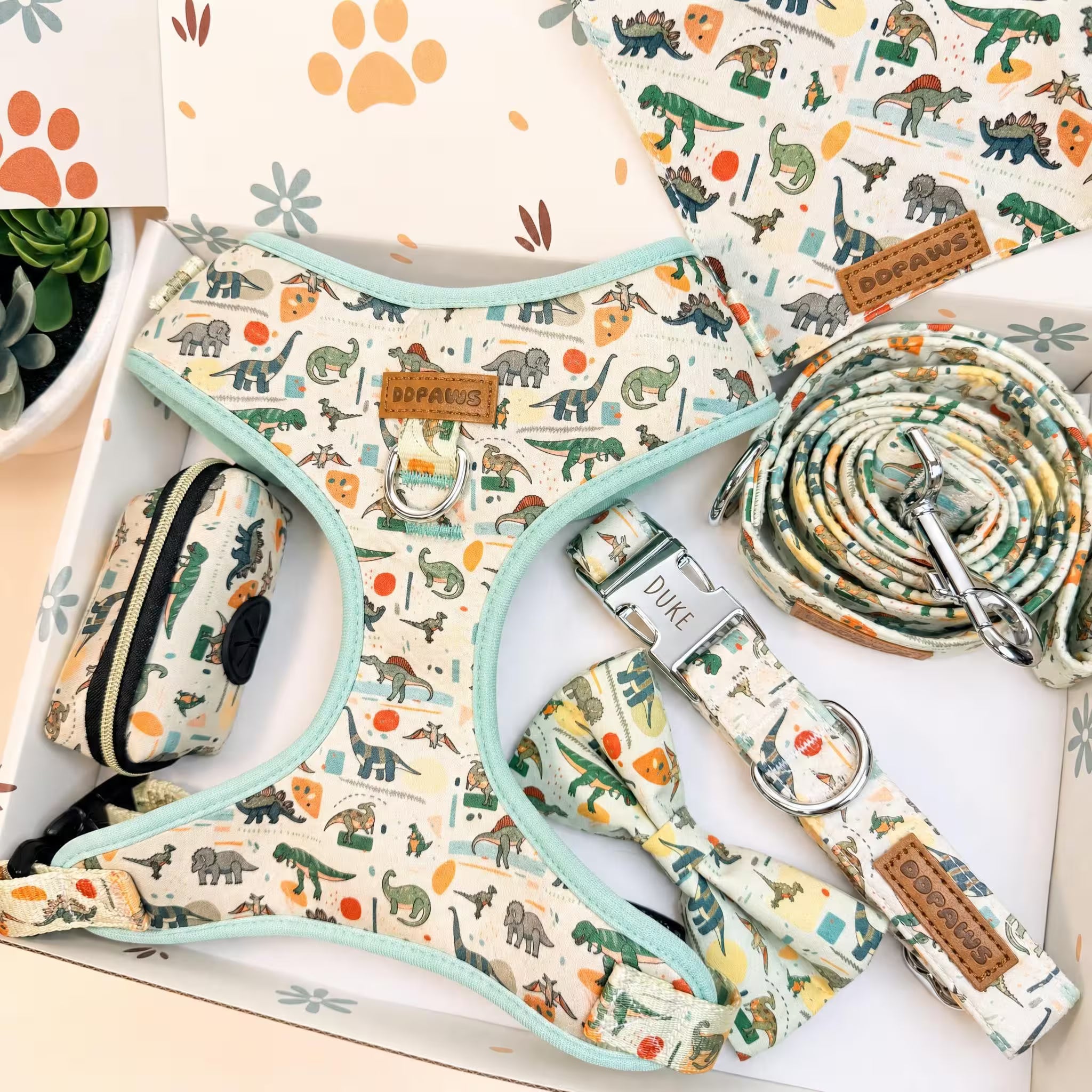 Designed Dinosaur Dog Vest Set
