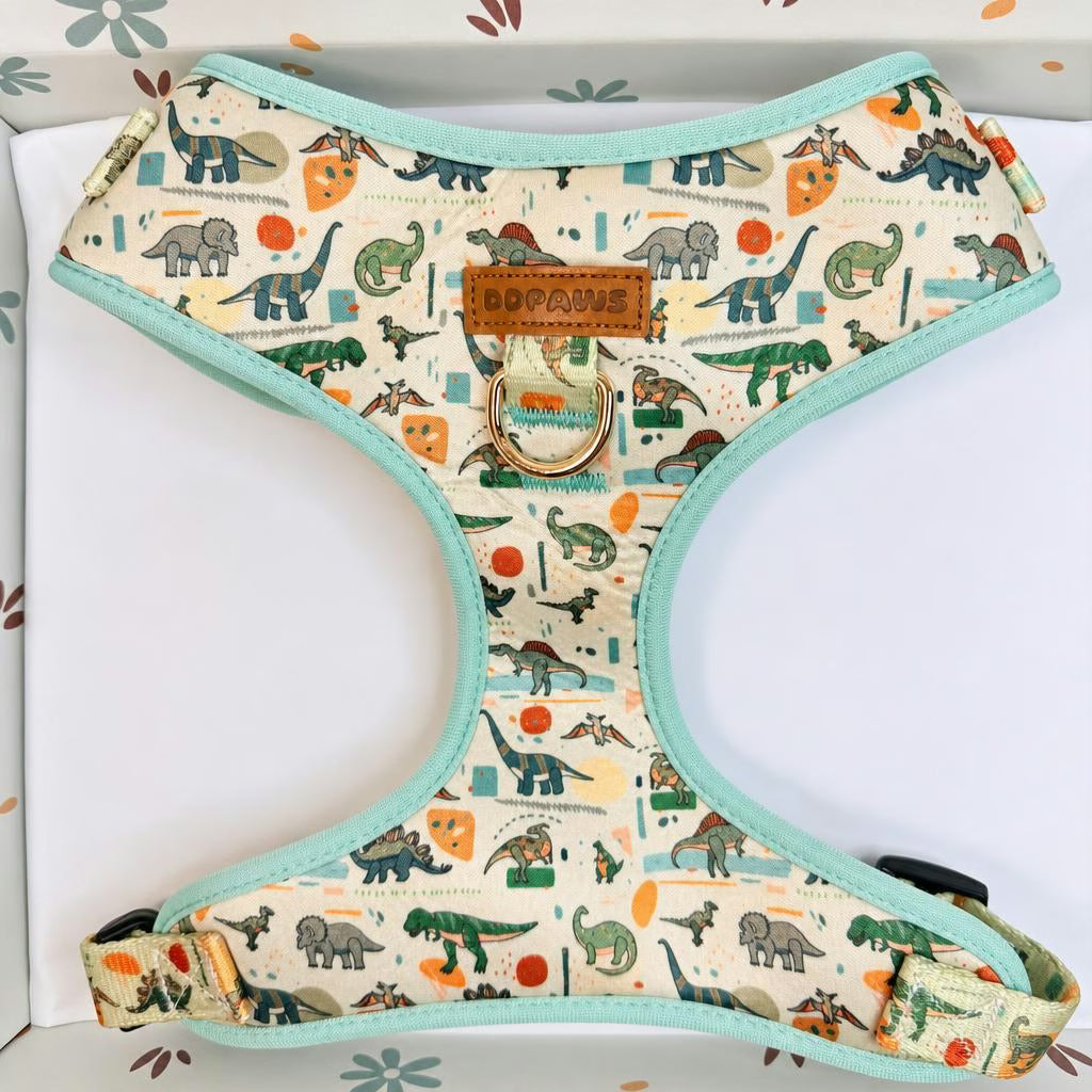 Designed Dinosaur Dog Vest Set