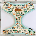 Designed Dinosaur Dog Vest Set