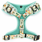 Designed Dinosaur Dog Vest Set