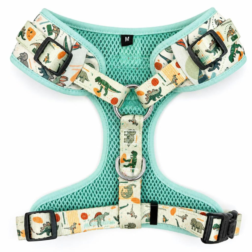 Designed Dinosaur Dog Vest Set