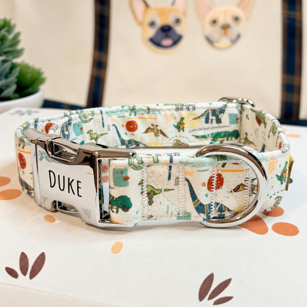 Designed Dinosaur Dog Vest Set