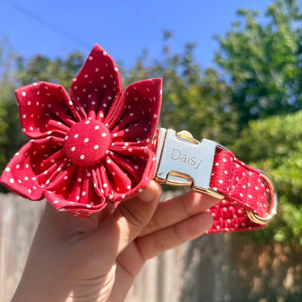 A red and white polka dot fabric pet collar held by a hand outdoors. The collar features a large, matching fabric flower embellishment on the front, a silver metal nameplate engraved with 'Daisy', and a gold-tone buckle.