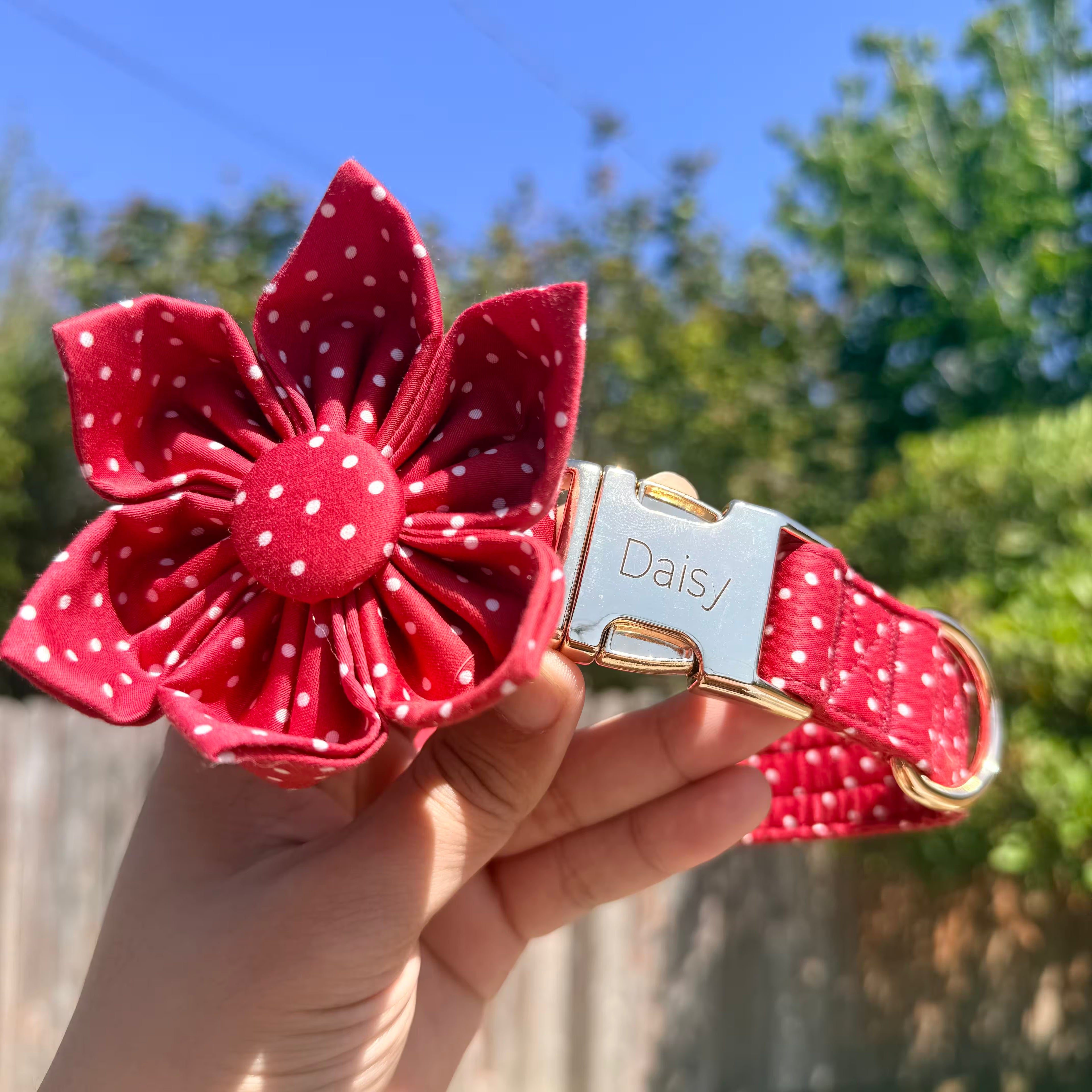 A red and white polka dot fabric pet collar held by a hand outdoors. The collar features a large, matching fabric flower embellishment on the front, a silver metal nameplate engraved with 'Daisy', and a gold-tone buckle.