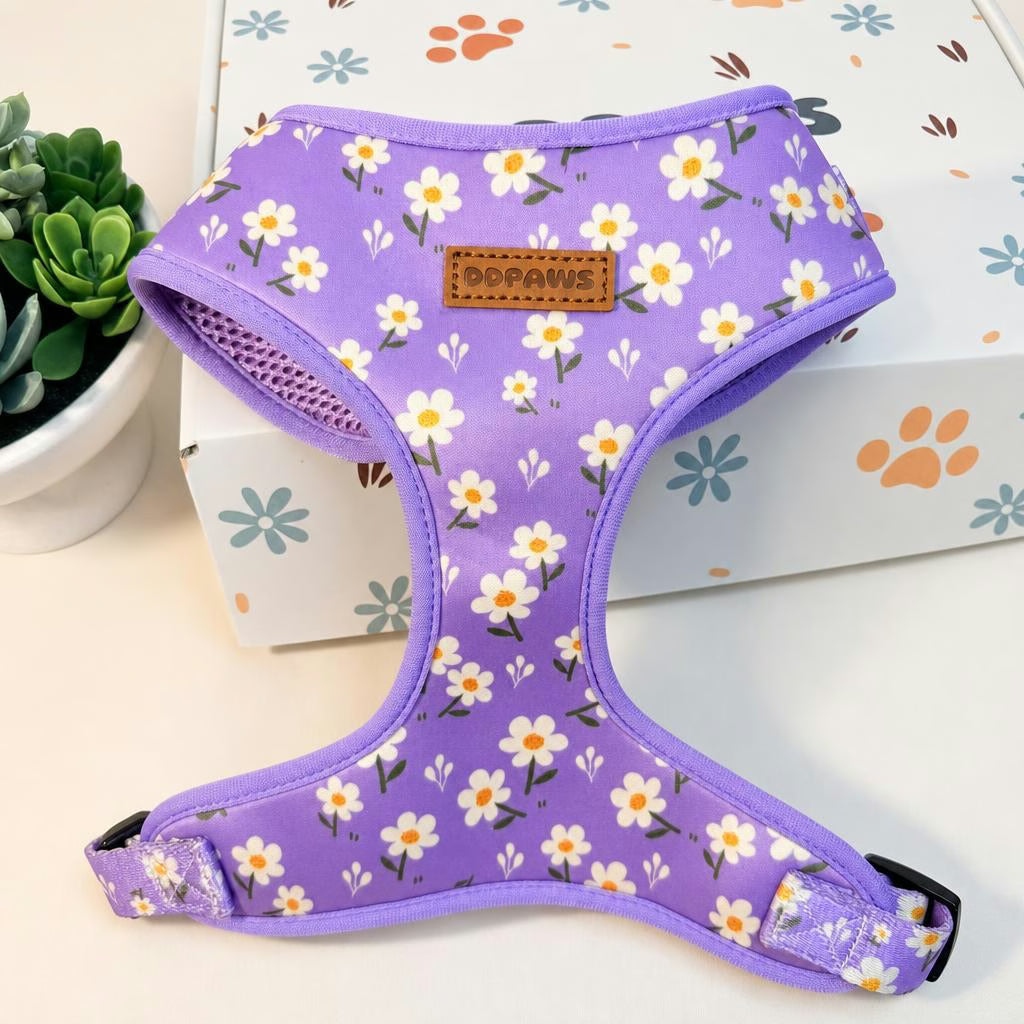 Designed Purple Daisy Floral Dog Vest Set