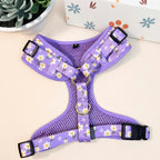 Designed Purple Daisy Floral Dog Vest Set