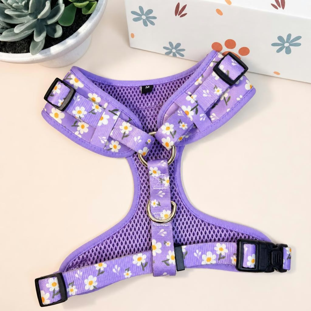 Designed Purple Daisy Floral Dog Vest Set