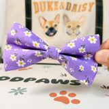 Bowtie