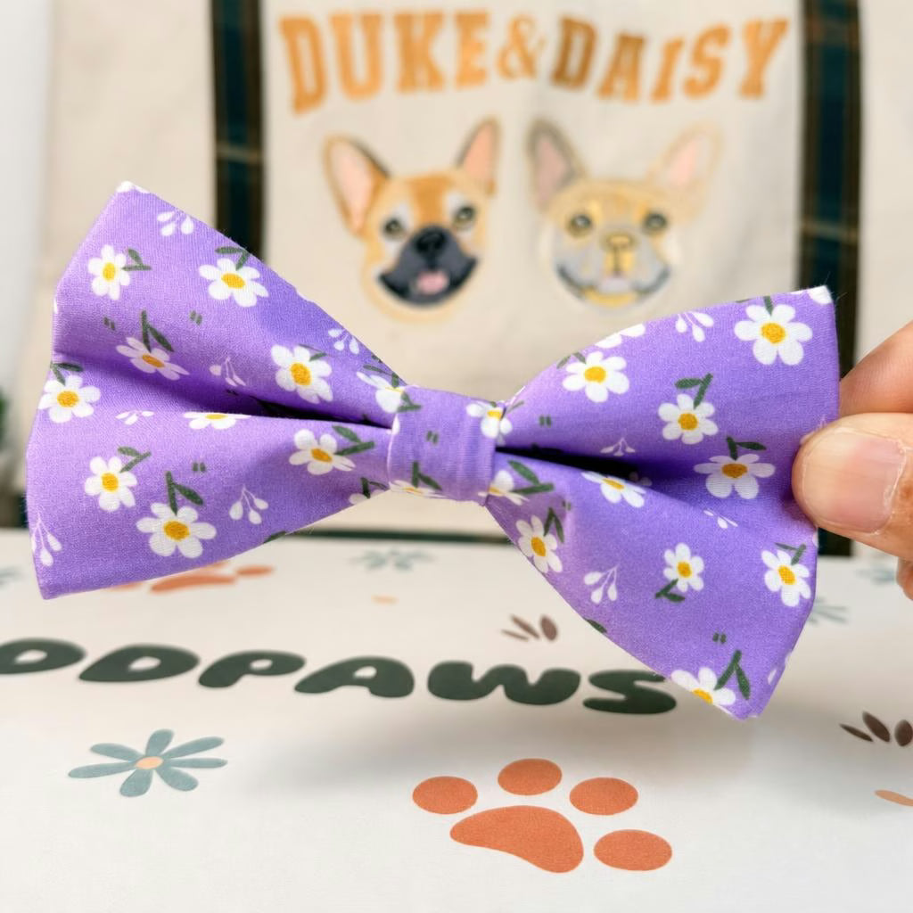 Designed Purple Daisy Floral Dog Vest Set