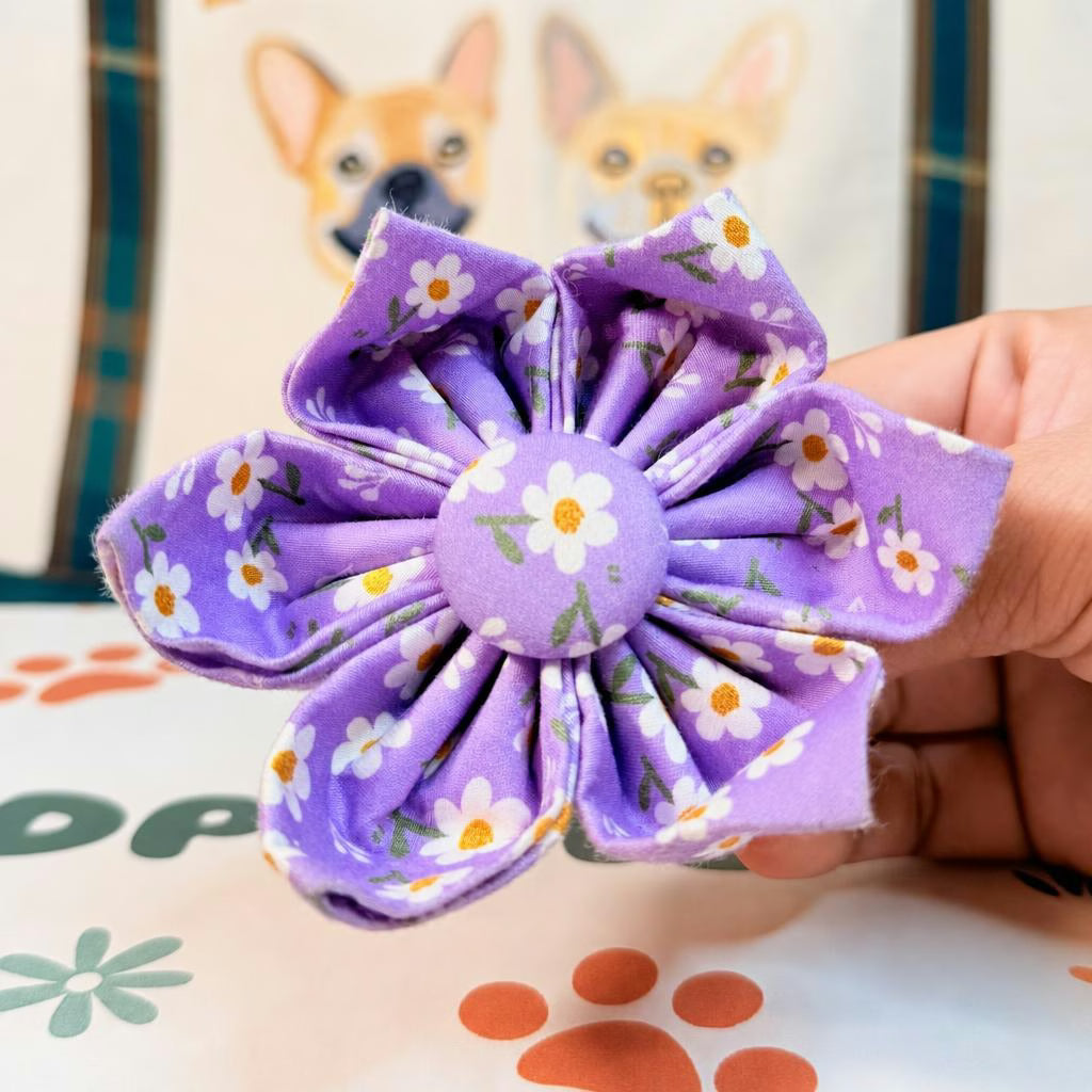 Designed Purple Daisy Floral Dog Vest Set