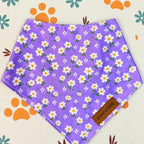Designed Purple Daisy Floral Dog Vest Set
