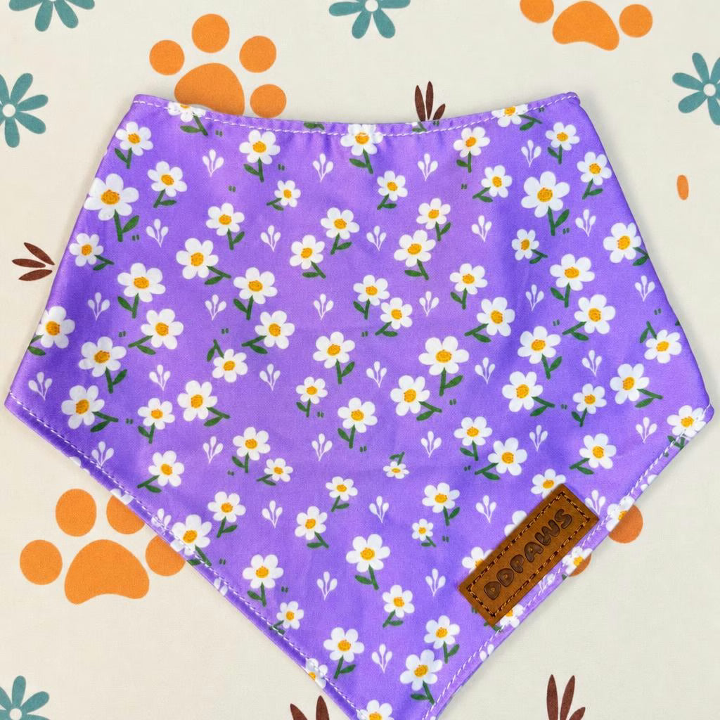 Designed Purple Daisy Floral Dog Vest Set