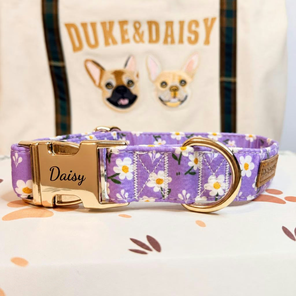 Designed Purple Daisy Floral Dog Vest Set