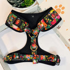 Designed Midnight Floral Dog Vest Set