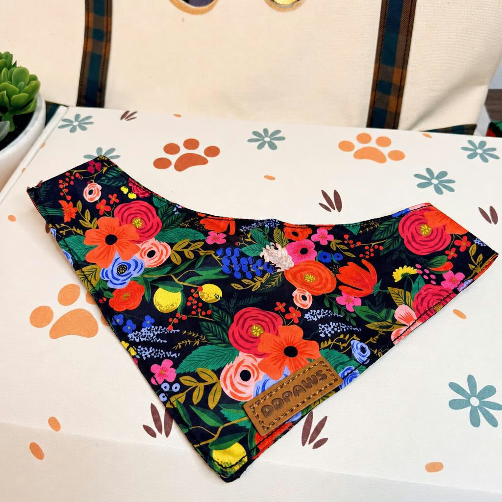 Designed Midnight Floral Dog Vest Set