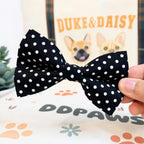 Designed Black Polka Dot Dog Vest Set