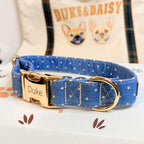 Designed Blue Polka Dot Dog Vest Set