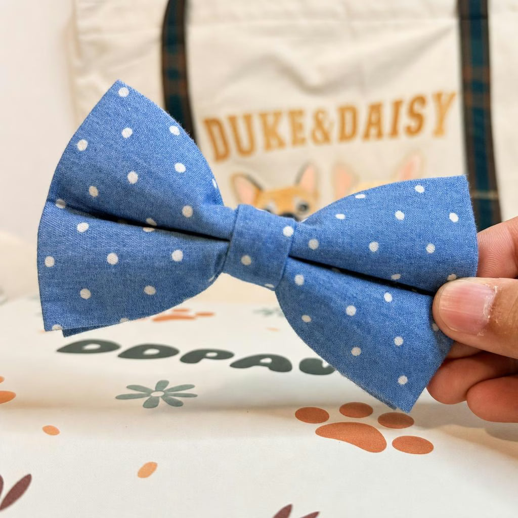 Designed Blue Polka Dot Dog Vest Set