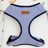 Harness
