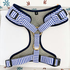 Designed Blue White Stripe Dog Vest Set
