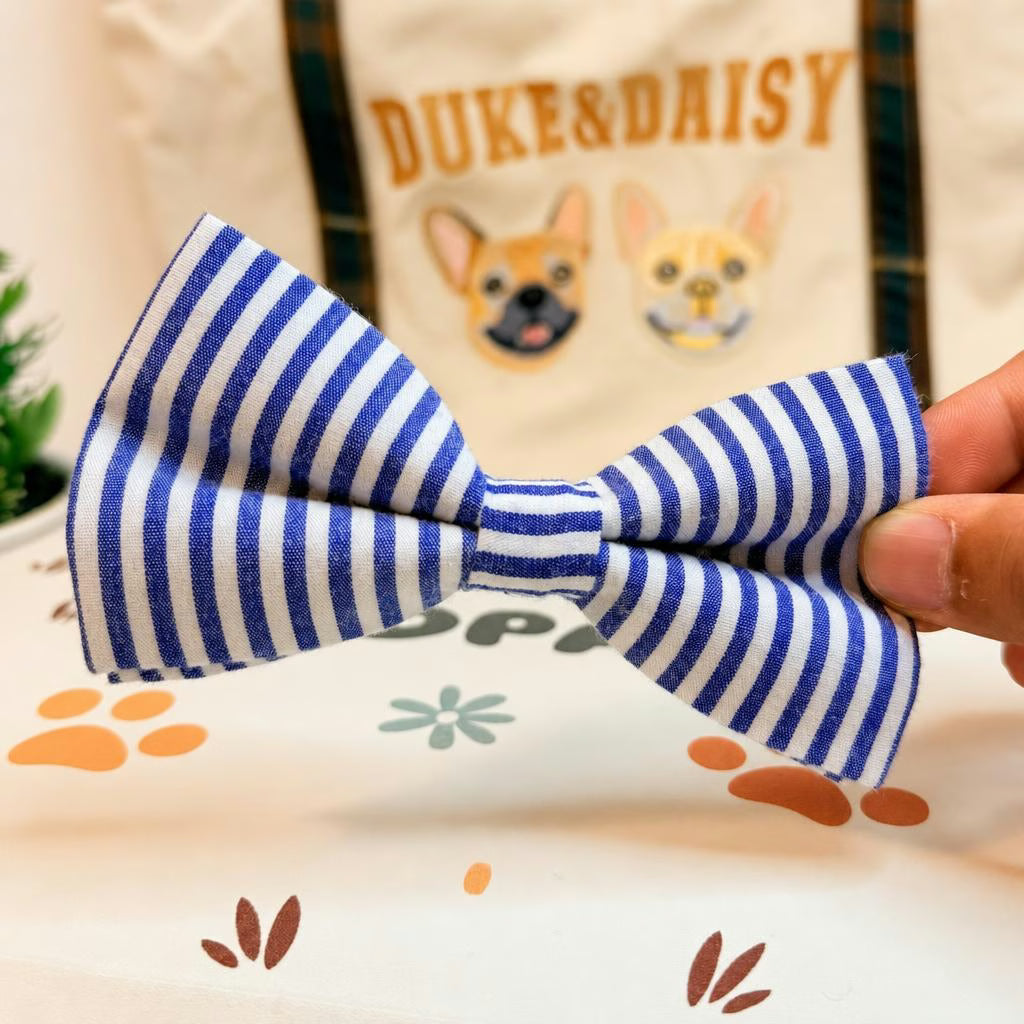 Designed Blue White Stripe Dog Vest Set
