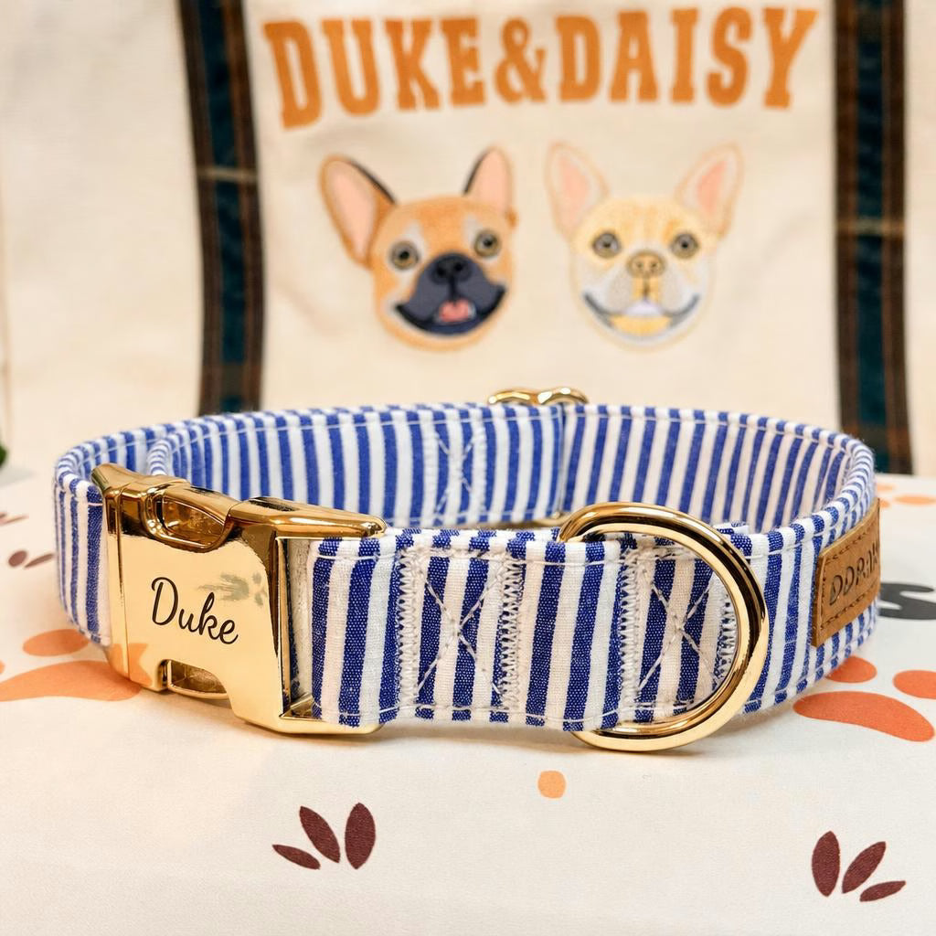 Designed Blue White Stripe Dog Vest Set