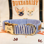 Designed Blue White Stripe Dog Vest Set