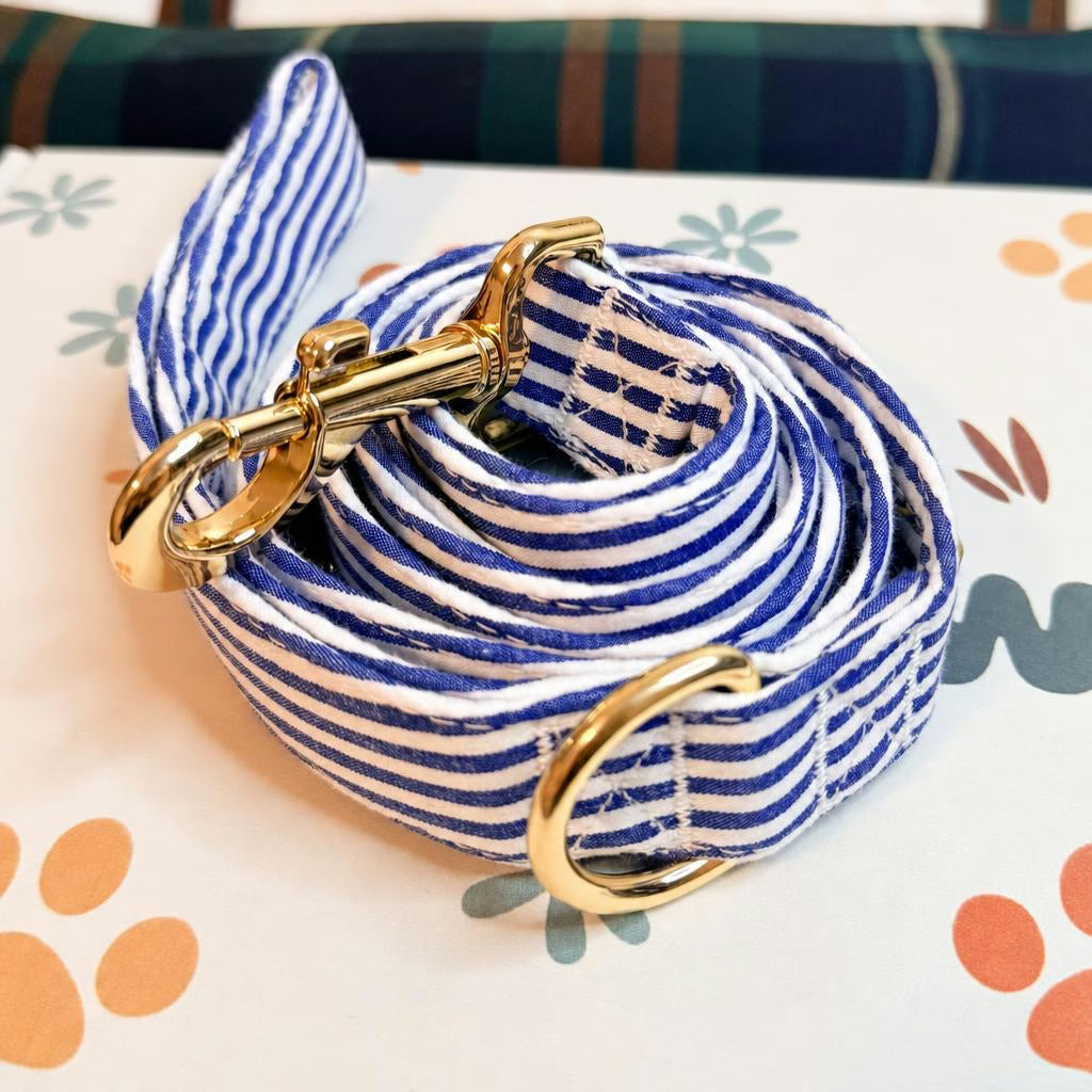 Designed Blue White Stripe Dog Vest Set