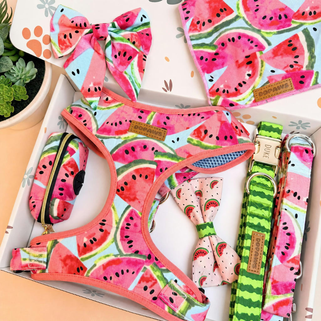 Designed Watermelon Dog Vest Set