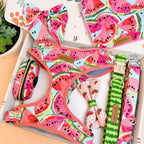 Designed Watermelon Dog Vest Set