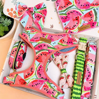 Designed Watermelon Dog Vest Set