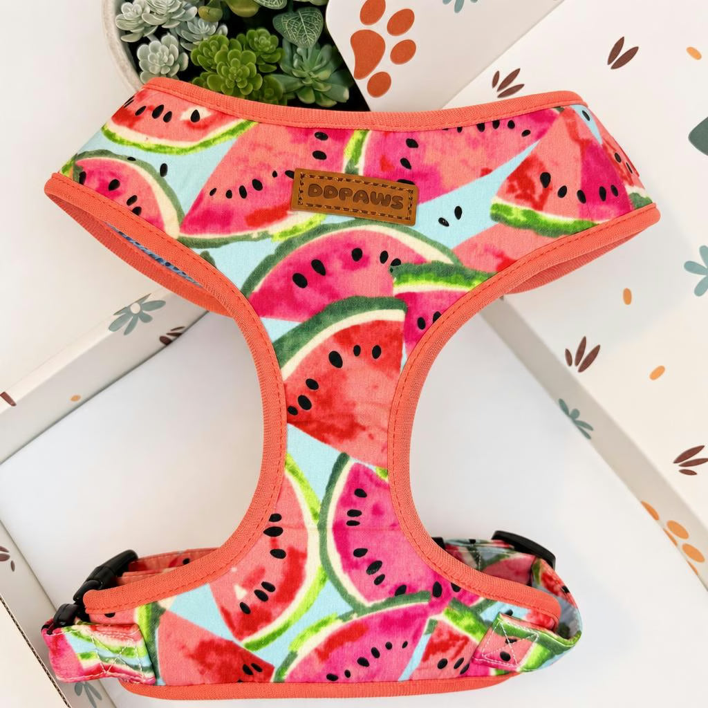 Designed Watermelon Dog Vest Set