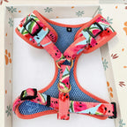 Designed Watermelon Dog Vest Set