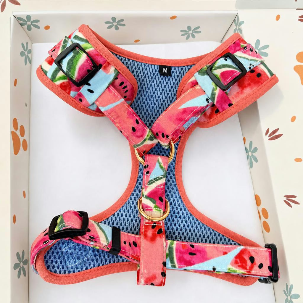Designed Watermelon Dog Vest Set